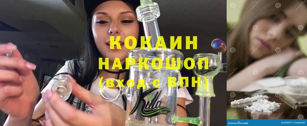 индика Алзамай