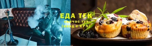 индика Алзамай