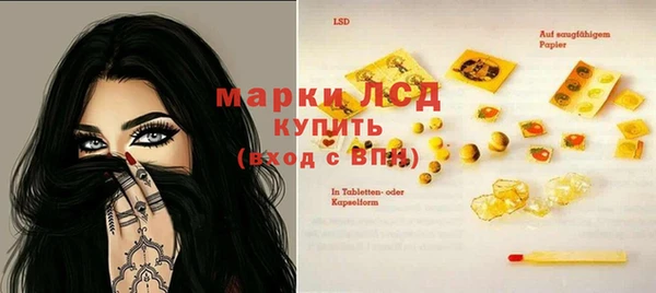 индика Алзамай