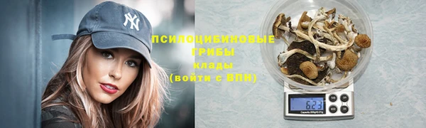 прущие грибы Алексеевка