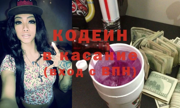 индика Алзамай
