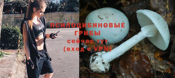 прущие грибы Алексеевка