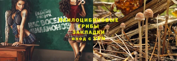 индика Алзамай