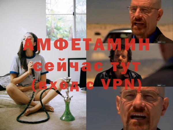 индика Алзамай