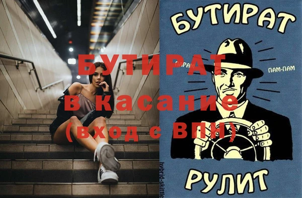 индика Алзамай