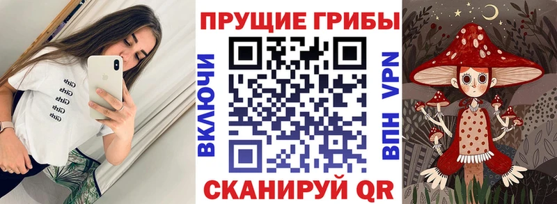 Галлюциногенные грибы MAGIC MUSHROOMS  Сосновоборск 