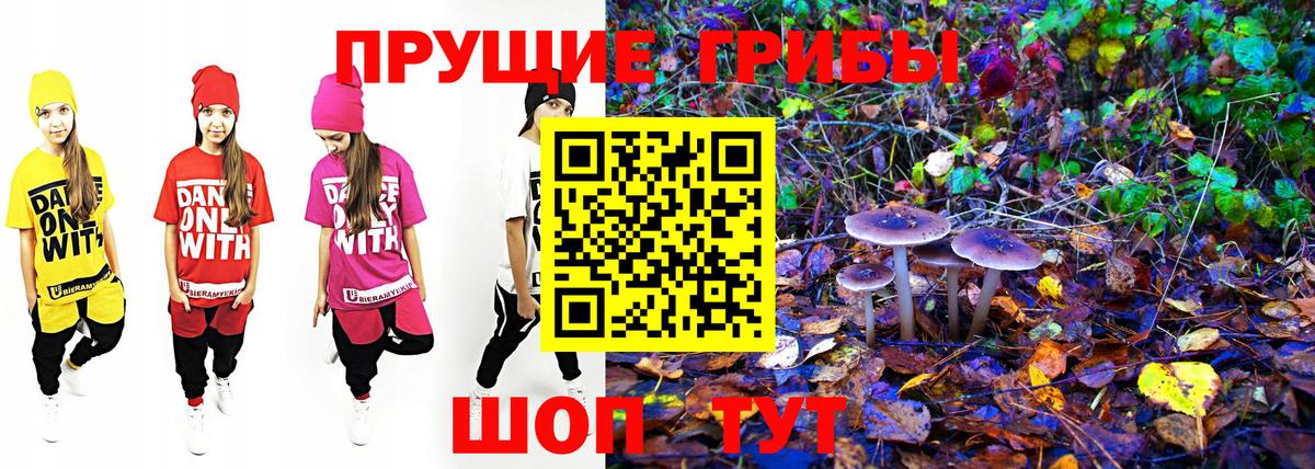 Псилоцибиновые грибы Magic Shrooms Сосновоборск