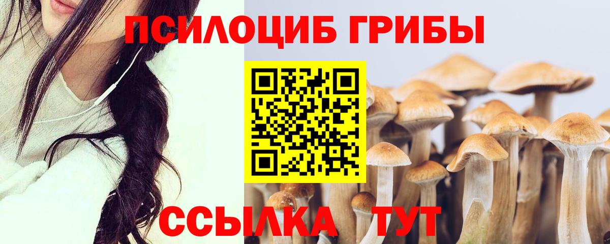 Псилоцибиновые грибы Magic Shrooms  Галлюциногенные грибы MAGIC MUSHROOMS  Сосновоборск  Вход с VPN 
