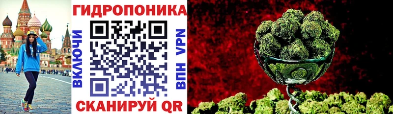 Марихуана конопля  omg зеркало  Сосновоборск  где найти наркотики 